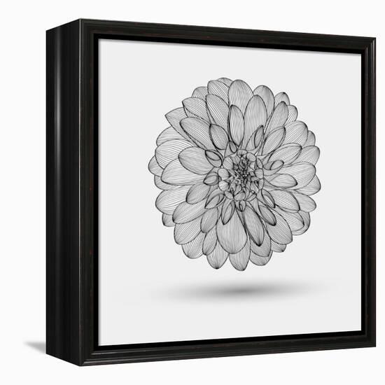 Abstract Floral Background-Helga Pataki-Framed Stretched Canvas