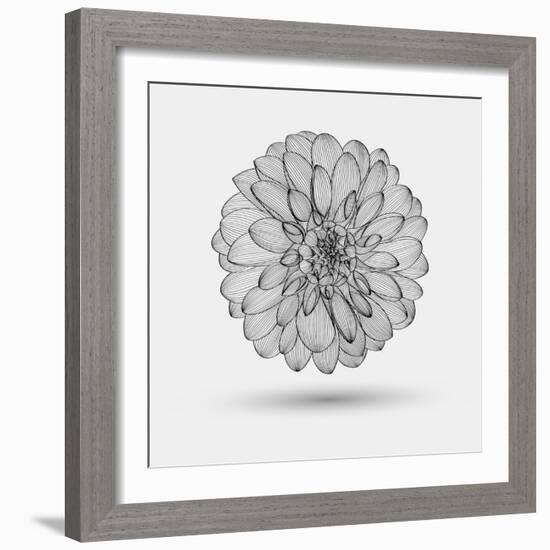 Abstract Floral Background-Helga Pataki-Framed Premium Giclee Print