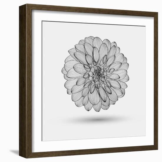 Abstract Floral Background-Helga Pataki-Framed Art Print