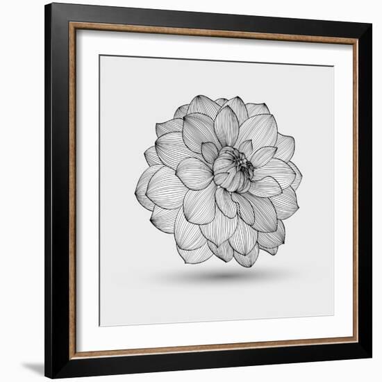 Abstract Floral Flower Dahlia-Helga Pataki-Framed Art Print