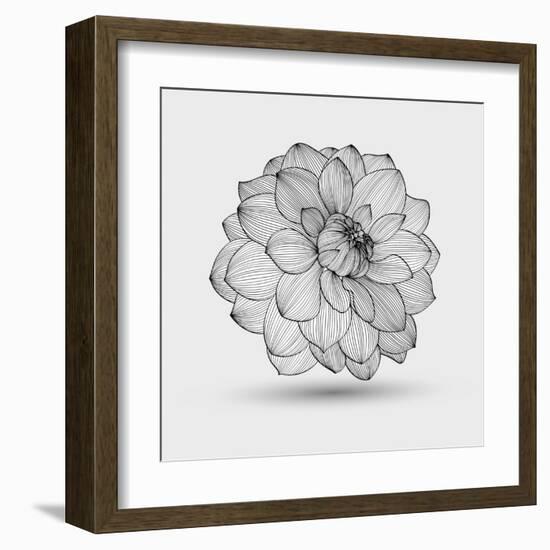 Abstract Floral Flower Dahlia-Helga Pataki-Framed Art Print