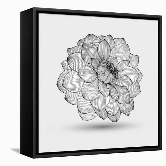 Abstract Floral Flower Dahlia-Helga Pataki-Framed Stretched Canvas