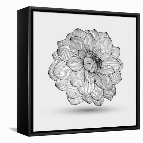 Abstract Floral Flower Dahlia-Helga Pataki-Framed Stretched Canvas