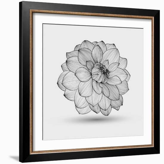 Abstract Floral Flower Dahlia-Helga Pataki-Framed Art Print