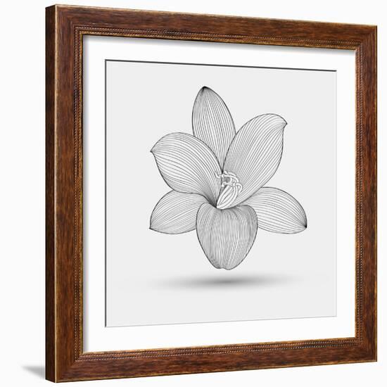 Abstract Floral Flower Lily-Helga Pataki-Framed Premium Giclee Print