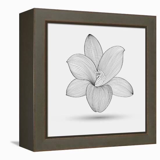 Abstract Floral Flower Lily-Helga Pataki-Framed Stretched Canvas