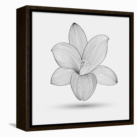 Abstract Floral Flower Lily-Helga Pataki-Framed Stretched Canvas