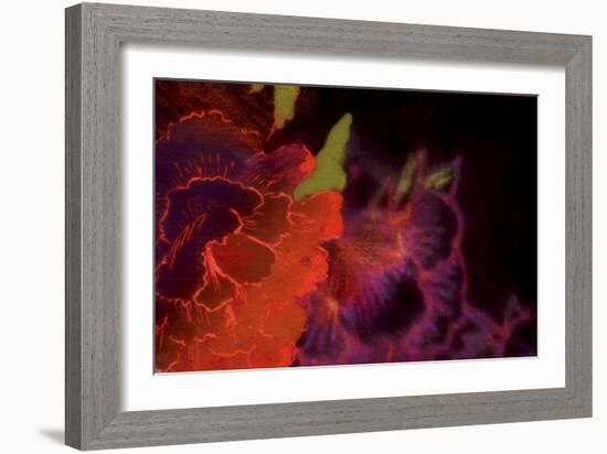 Abstract Floral-Whoartnow-Framed Giclee Print