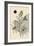 Abstract Flower 1-null-Framed Giclee Print