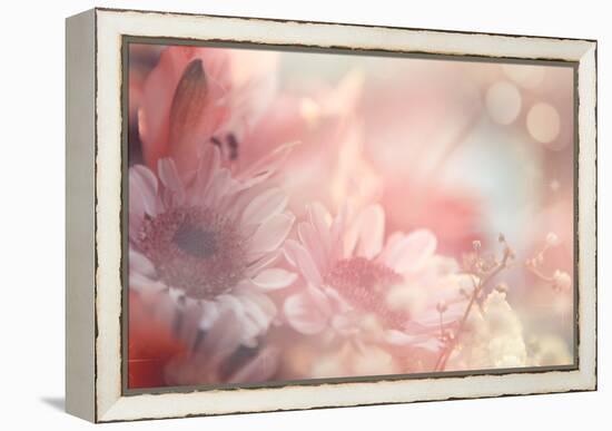 Abstract Flower Background-Timofeeva Maria-Framed Stretched Canvas