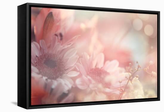 Abstract Flower Background-Timofeeva Maria-Framed Stretched Canvas