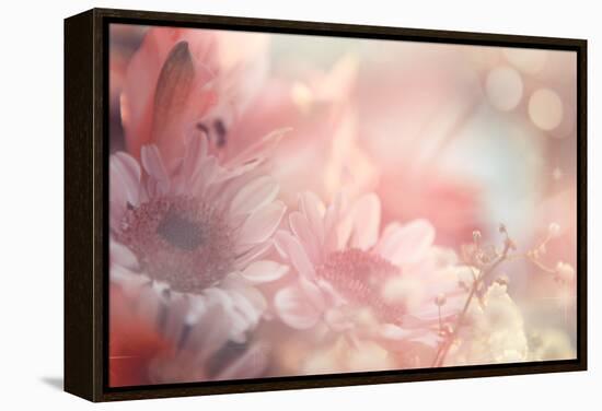 Abstract Flower Background-Timofeeva Maria-Framed Stretched Canvas