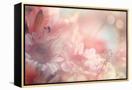 Abstract Flower Background-Timofeeva Maria-Framed Stretched Canvas