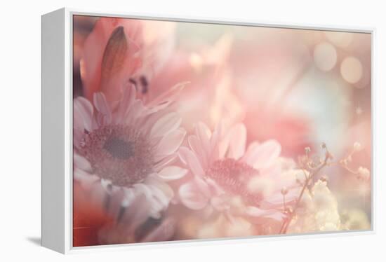 Abstract Flower Background-Timofeeva Maria-Framed Stretched Canvas