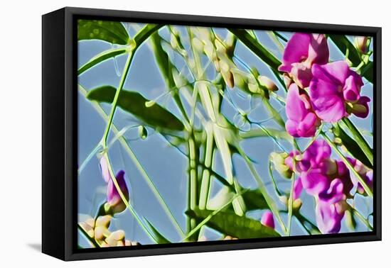 Abstract Flowers 8807-Rica Belna-Framed Premier Image Canvas