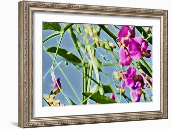 Abstract Flowers 8807-Rica Belna-Framed Giclee Print