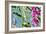 Abstract Flowers 8807-Rica Belna-Framed Giclee Print