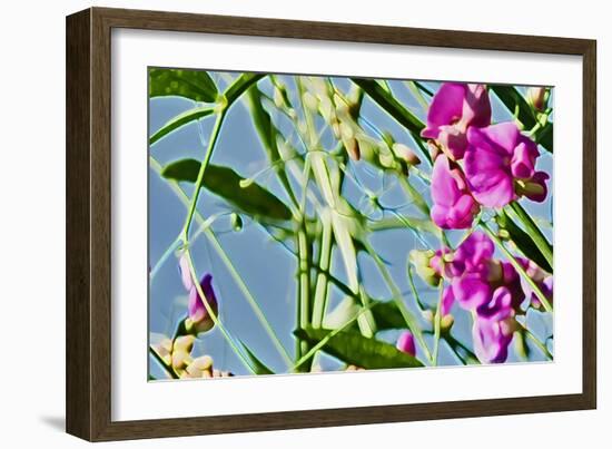 Abstract Flowers 8807-Rica Belna-Framed Giclee Print