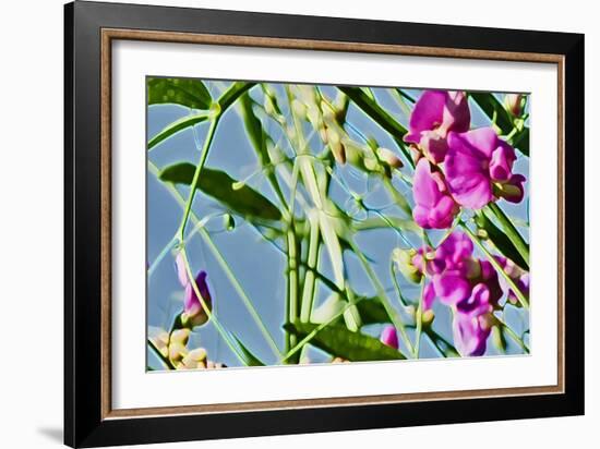 Abstract Flowers 8807-Rica Belna-Framed Giclee Print