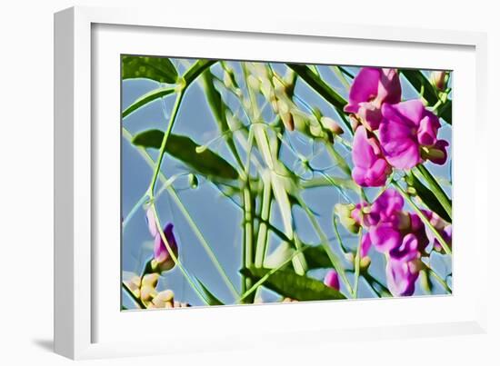 Abstract Flowers 8807-Rica Belna-Framed Giclee Print