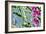 Abstract Flowers 8807-Rica Belna-Framed Giclee Print