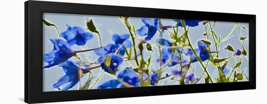 Abstract Flowers 8810-Rica Belna-Framed Giclee Print