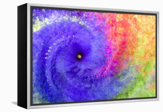 Abstract flowers in a twirl.-Sheila Haddad-Framed Premier Image Canvas