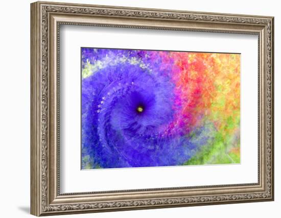 Abstract flowers in a twirl.-Sheila Haddad-Framed Photographic Print