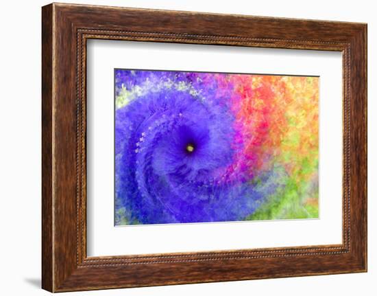 Abstract flowers in a twirl.-Sheila Haddad-Framed Photographic Print