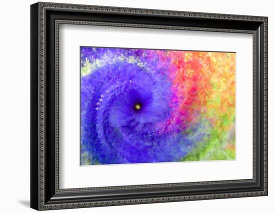 Abstract flowers in a twirl.-Sheila Haddad-Framed Photographic Print