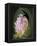 Abstract Flowers-Ellen Anon-Framed Premier Image Canvas