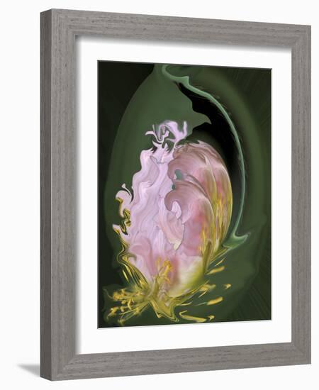 Abstract Flowers-Ellen Anon-Framed Photographic Print