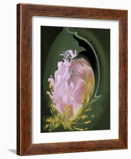 Abstract Flowers-Ellen Anon-Framed Photographic Print