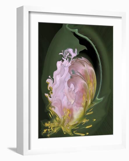 Abstract Flowers-Ellen Anon-Framed Photographic Print