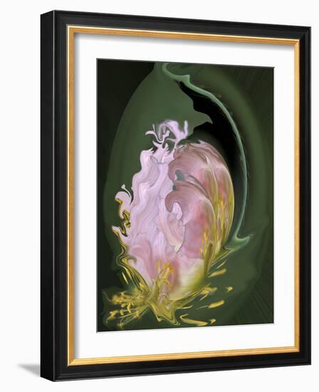 Abstract Flowers-Ellen Anon-Framed Photographic Print