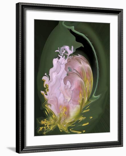 Abstract Flowers-Ellen Anon-Framed Photographic Print