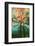 Abstract Forest-Viviane Fedieu Daniel-Framed Photographic Print