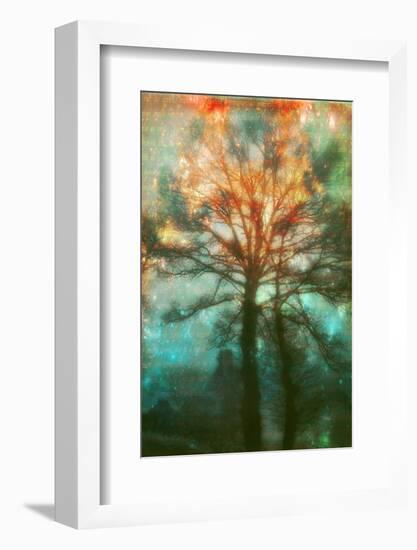 Abstract Forest-Viviane Fedieu Daniel-Framed Photographic Print