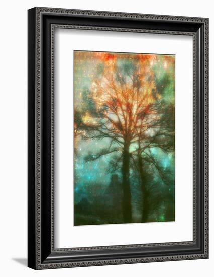 Abstract Forest-Viviane Fedieu Daniel-Framed Photographic Print