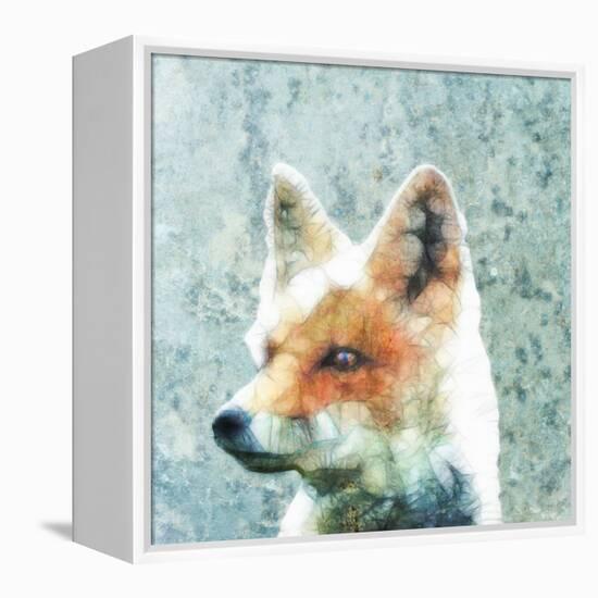 Abstract Fox-Ancello-Framed Stretched Canvas