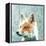 Abstract Fox-Ancello-Framed Stretched Canvas