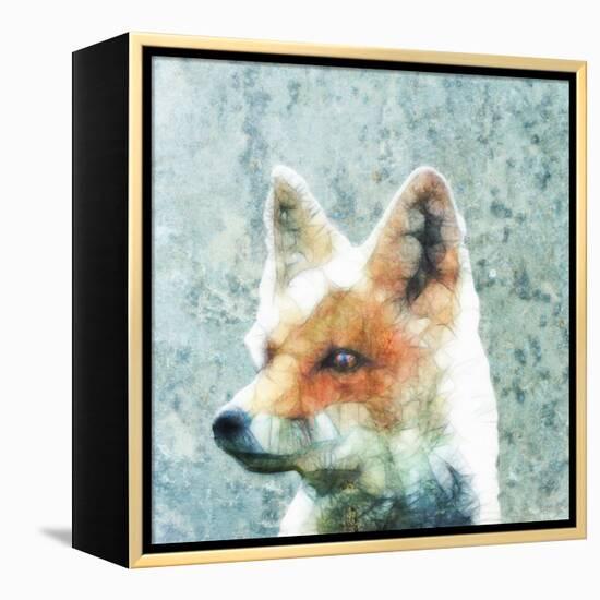 Abstract Fox-Ancello-Framed Stretched Canvas