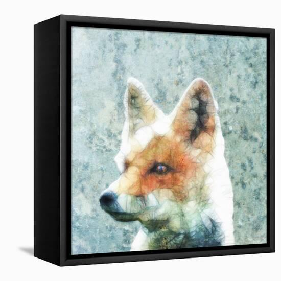 Abstract Fox-Ancello-Framed Stretched Canvas