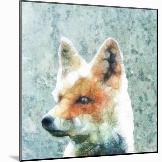 Abstract Fox-Ancello-Mounted Art Print