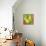 Abstract Fruits I-Chariklia Zarris-Premium Giclee Print displayed on a wall