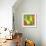 Abstract Fruits I-Chariklia Zarris-Framed Art Print displayed on a wall