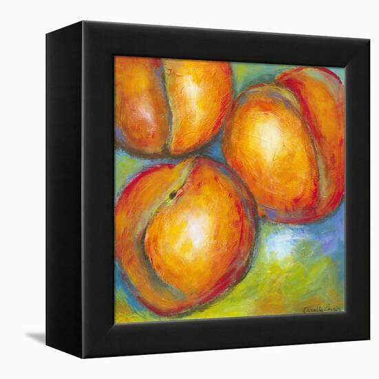 Abstract Fruits II-Chariklia Zarris-Framed Stretched Canvas