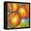 Abstract Fruits II-Chariklia Zarris-Framed Stretched Canvas