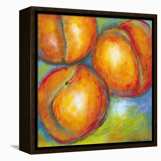 Abstract Fruits II-Chariklia Zarris-Framed Stretched Canvas