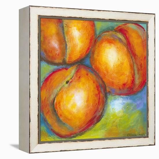 Abstract Fruits II-Chariklia Zarris-Framed Stretched Canvas